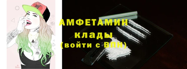 амф Алексин