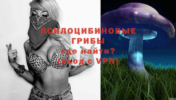 каннабис Алексеевка